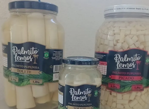 imagem_2026-03-02_154722326